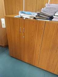 Samrudhi Office Chair